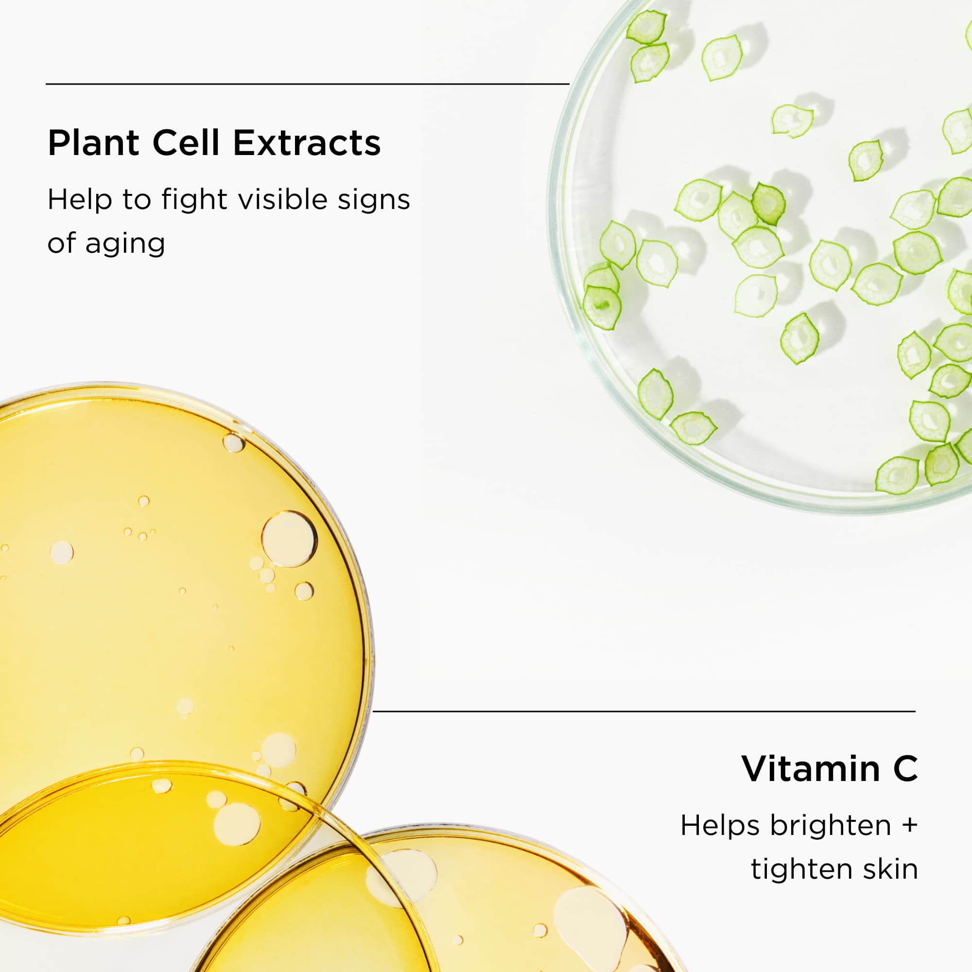 close up of plant cell extract and vitamin c in petri dishes with ingredient benefits callouts