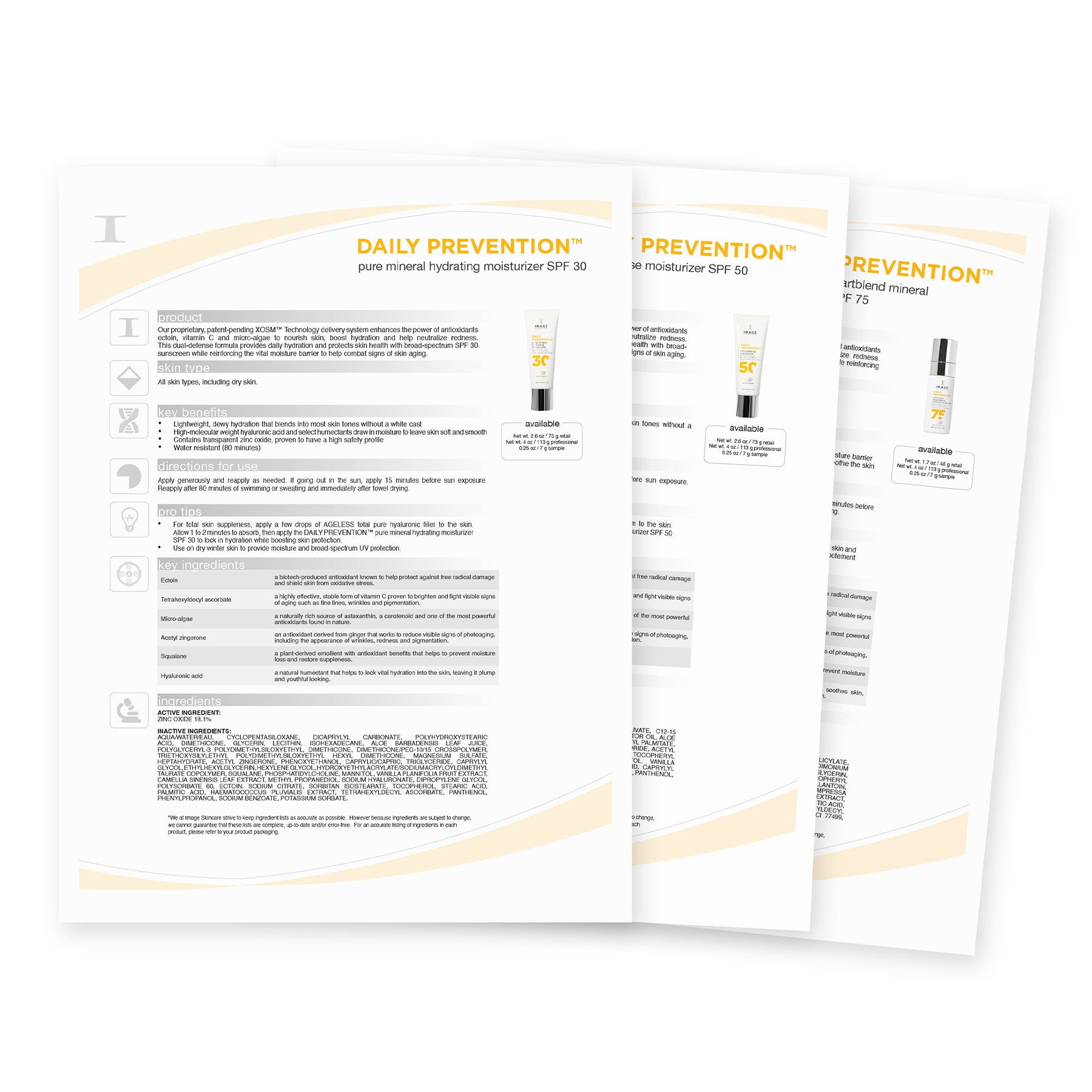 Daily Prevention P&T Sheets 2024