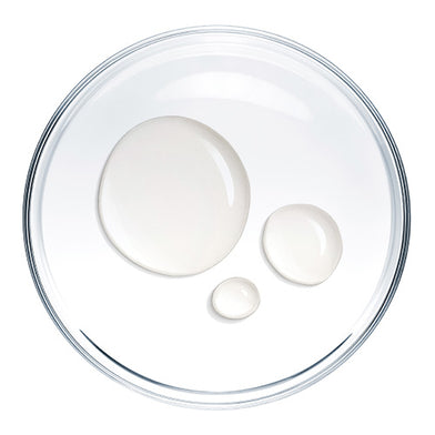 Plant Collagen Fragments